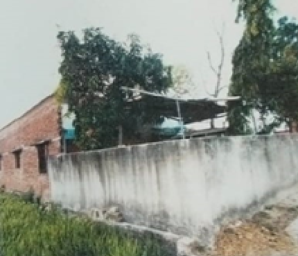 Dhanda Agro Chemicals Industries 197241